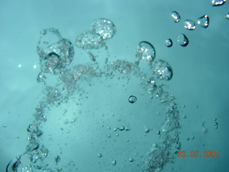 DSCN6020